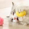 Ailan Soft and Durable Interactive Cat Toy for Endless Entertainment, Plush Cat Ball Training Toy, Yellow view 4