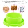 ABOOFAN 3-Piece Plastic Food Bowls for Cats, Puppies, and Small Dogs view 4
