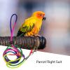 bellv Bird Leash, Soft Fashionable Bird Diaper Flight Suit and Pigeon Pants for Small to Medium Birds, Parakeets, Parrots, and Cockatiels view 2