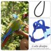 minkissy 5-Piece Parrot Harness and Leash Set with Adjustable Harnesses and Elastic Leashes view 4