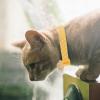 minkissy 12-Piece Adjustable Cat Collars with Avocado Design view 2