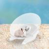 Hamster Wheel - Non-Slip Transparent Wheel for Hamsters view 3