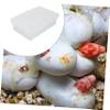 Amosfun Portable Plastic Reptile Incubator, White view 2