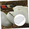 Amosfun Portable Plastic Reptile Incubator, White view 3