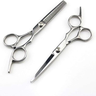 Professional Stainless Steel Haircutting Scissors Set, Silver