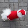 Fleece Christmas Puppy Cape view 3