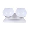 15° Angled Double Food and Water Bowl for Cats and Small Dogs, White view 1