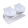 15° Angled Double Food and Water Bowl for Cats and Small Dogs, White view 2