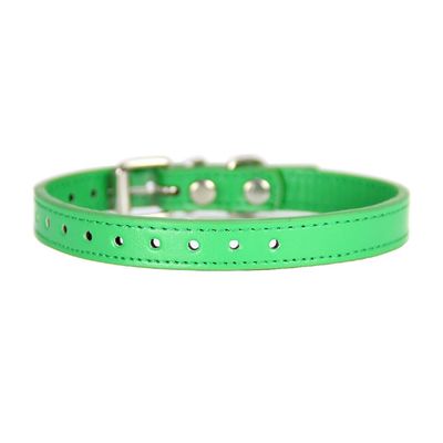 Newtensina Universal Dog Collar for Small Dogs