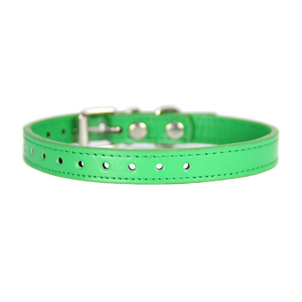 Newtensina Universal Dog Collar for Small Dogs