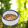 Zeizafa Terrarium Feeding Dish Mini Ceramic view 4