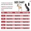 Warm Dog Vest Jacket, Lightweight Waterproof, Windproof, Reflective Stripes, Cotton Costume for Puppies, Small and Medium Dogs, Size S (Style 7: Black) view 2