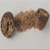 Whole Nutmeg 100 g (18–22 pieces) or 1 kg view 2