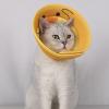 Cat Cone | Soft Cat Collar with Cute Animal Pattern view 3
