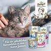 Betty's Country Kitchen Senior Cat Chicken with Pumpkin & Salmon Oil, 6 x 400 g view 3