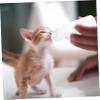 5-Pack Pet Feeding Bottles with Nipples, 50 mL, Silicone and PP view 2