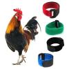 Puco 2 Pack No Crow Rooster Collar view 4