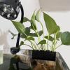 Aquarium Storage Rack with Integrated Hook view 2
