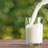 Brenmarke Fresh Milk 3.8% 1 L x 6 [Freshness Guarantee] view 3