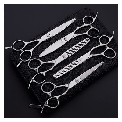 CrEev 6-Inch Hairdressing Scissors Set, 5-Piece Set