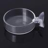 Shrimp Feeding Bowl with Suction Cup, Clear Glass, 6, 1, 8 cm view 2