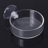 Shrimp Feeding Bowl with Suction Cup, Clear Glass, 6, 1, 8 cm view 3