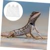 Turtle Basking Platform NF-09, PP, White, 1 pc. view 3