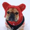 Dog Hat, Warm Winter Cap for Medium to Large Dogs view 3