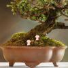 Sosoport 2-Piece Pink Mushroom-Shaped Stone Ornaments for Garden Landscapes view 2