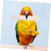 Angoily Parrot Chew Toy - 6 Pieces Natural Wood view 3