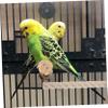FRCOLOR Parrot Wood Perch view 3
