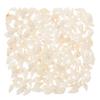 DOITOOL 200 Natural Shells for Aquarium Decoration view 1