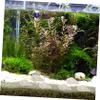 DOITOOL 200 Natural Shells for Aquarium Decoration view 2