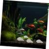 DOITOOL 200 Natural Shells for Aquarium Decoration view 4