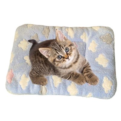 Calming Blanket for Cats