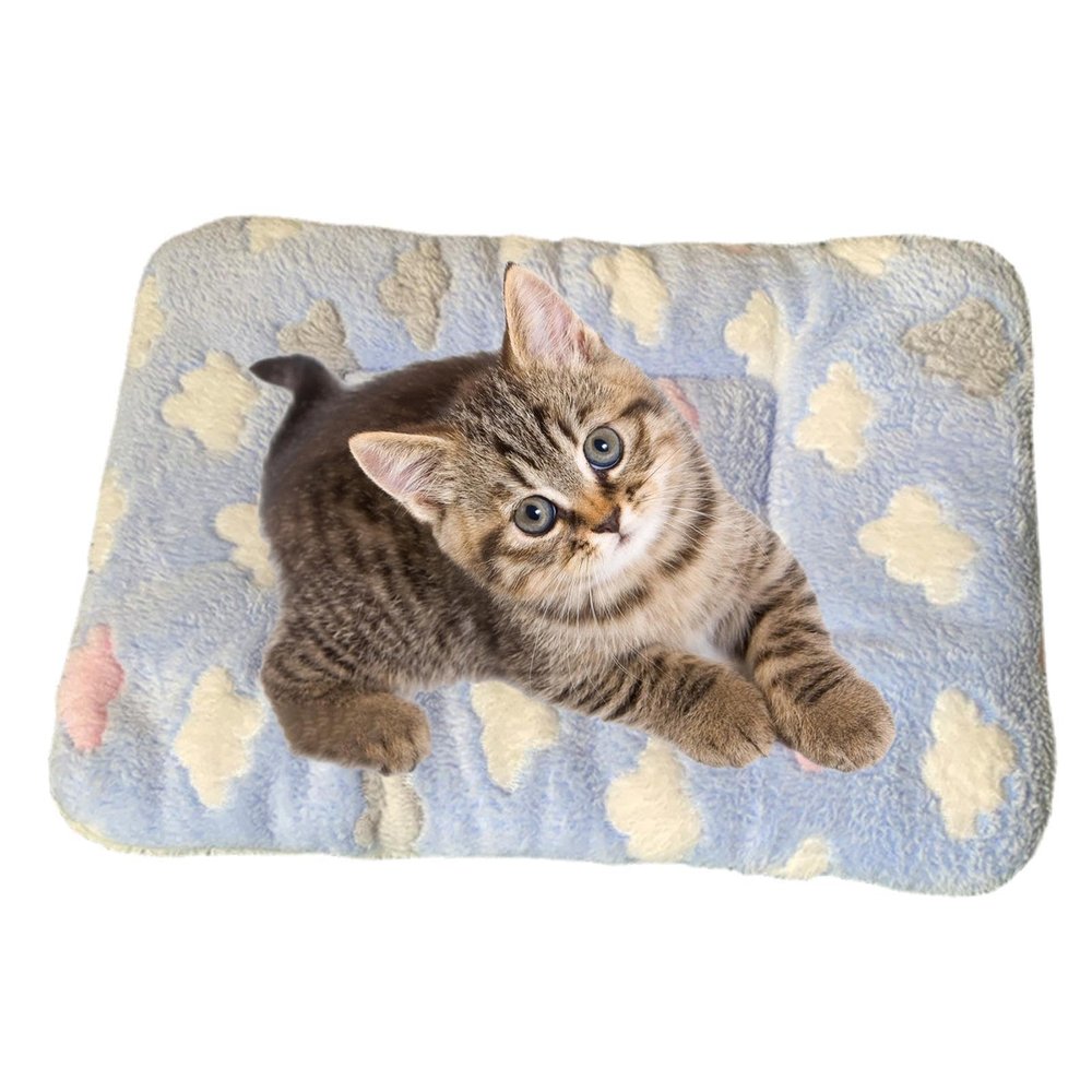 Calming Blanket for Cats