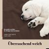Loveblanket Waterproof Pet Blanket for Sofa, Bed, and Car, Pee-Proof, S, 71 x 100 cm view 3