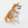 peiyeety Dog Bandanas with Nautical Travel Pattern, Comfortable Triangular Cotton Bibs for Dogs or Cats, Cute Pet Scarf for Medium and Large Dogs, XL view 2