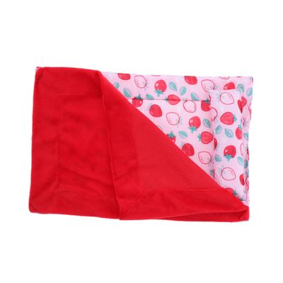 Iguana Sleeping Bag, Foldable and Portable Canvas Flannel, Pink