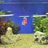 HAPINARY Diver Model Aquarium Decoration view 2