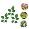 minkissy 3-Piece Water Plant Decor view 3