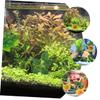 minkissy 3-Piece Water Plant Decor view 4