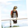 Reusable Cotton Bird Diaper, Size L for Parrots view 2