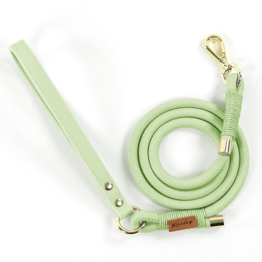 Wisedog Braided Polyester Rope Dog Leash, Sage Green