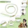 Wisedog Braided Polyester Rope Dog Leash, Sage Green view 2