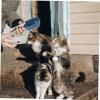 Angoily Pet Food Scoop view 3