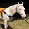 Cheval's Premium Western Horse Breast Collar, Mohair Wool and Leather, Handmade, Comfortable Riding Tack (Multi_Cob_Design7) view 2