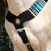 Cheval's Premium Western Horse Breast Collar, Mohair Wool and Leather, Handmade, Comfortable Riding Tack (Multi_Cob_Design7) view 4