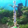 Garnelen Wunderland Shrimp Sticks Bee Pollen (11 Pieces) view 2