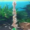Garnelen Wunderland Shrimp Sticks Bee Pollen (11 Pieces) view 3